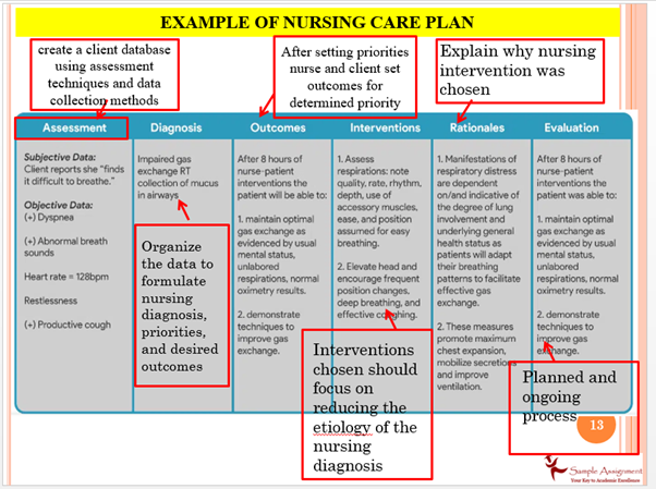 Example of nursing Care Plan