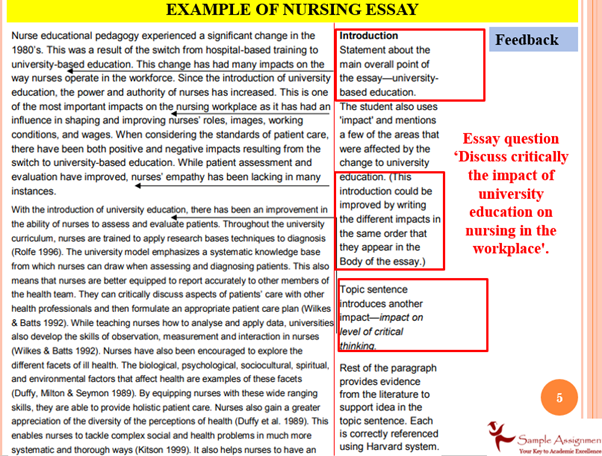 Example of Nursing Essay