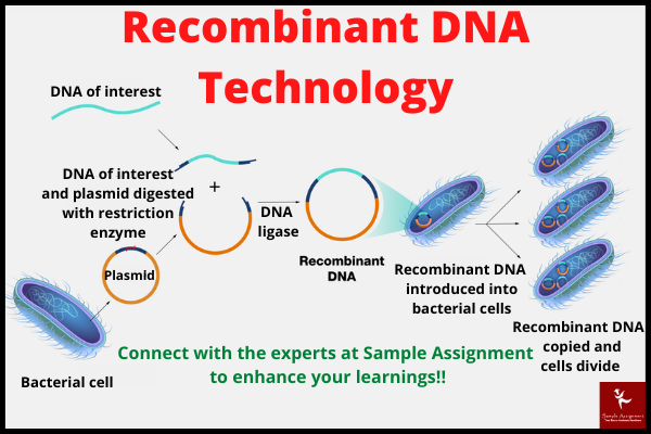 Recombinant DNA Technology