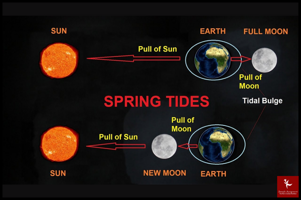 Spring Tides