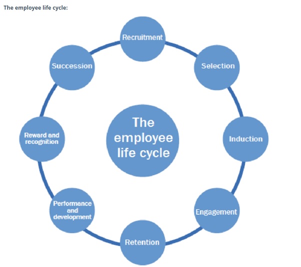 employee life cycle