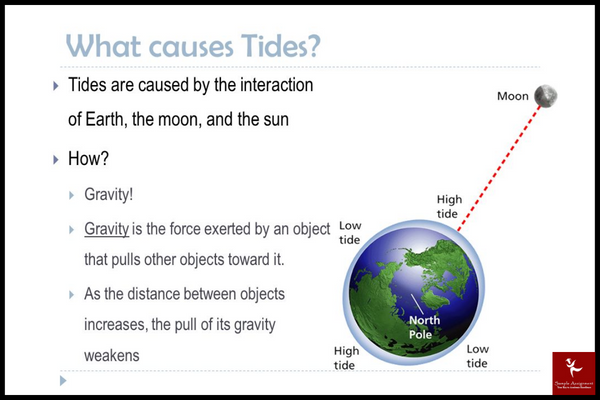 what causes tides