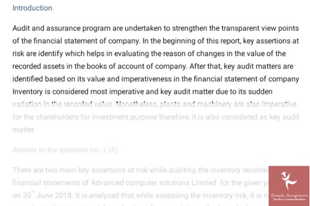 auditing homework sample