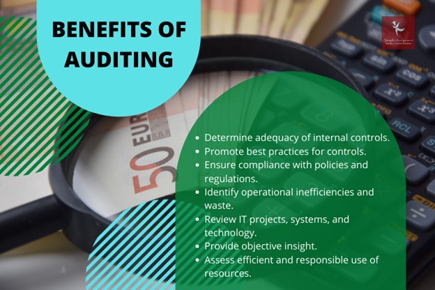 auditing assignment help Canada