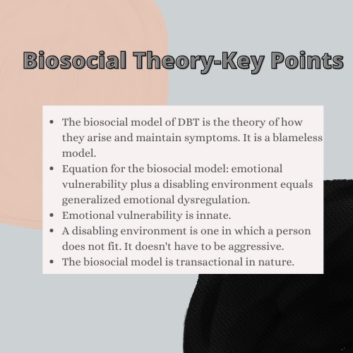 biosocial theory homework help