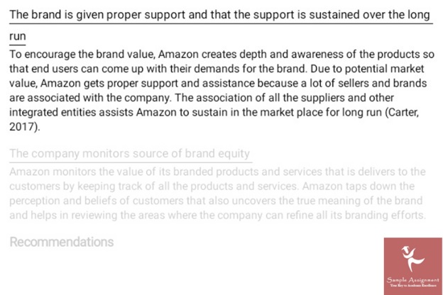 brand management assignment example