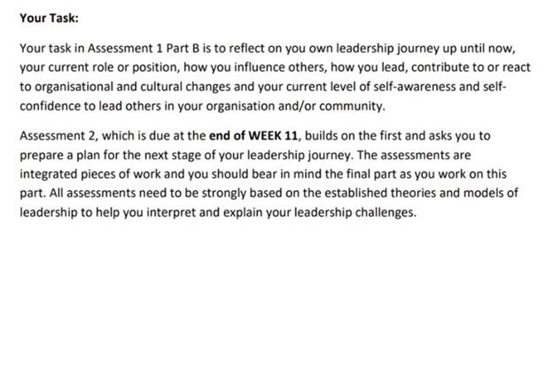 do my leadership assignment