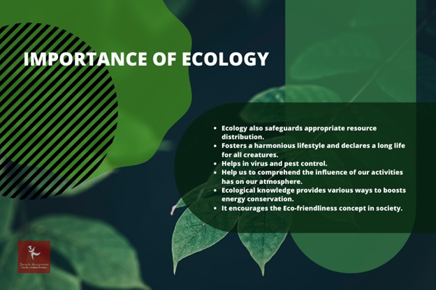 ecology homework help