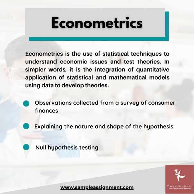 econometrics homework help