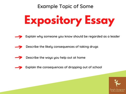 expository essay examples