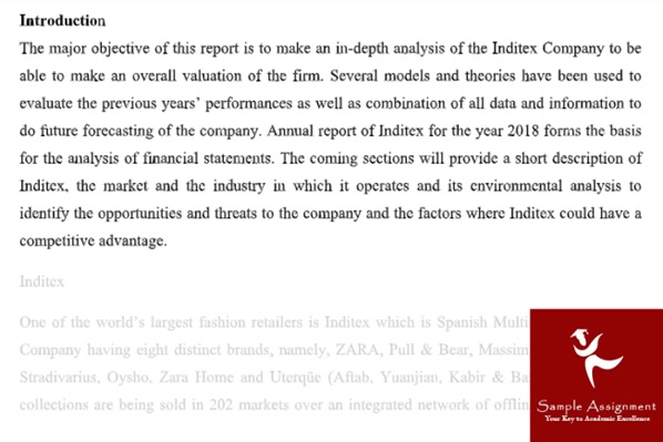 Financial Statement Analysis Assignment Answer