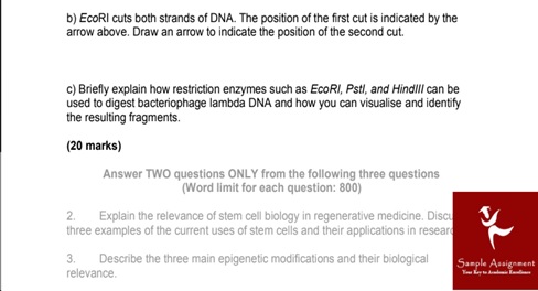 high school biology homework help