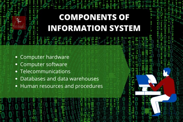 information system management homework help