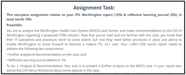 it management assignment sample