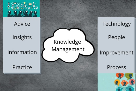 knowledge management assignment help