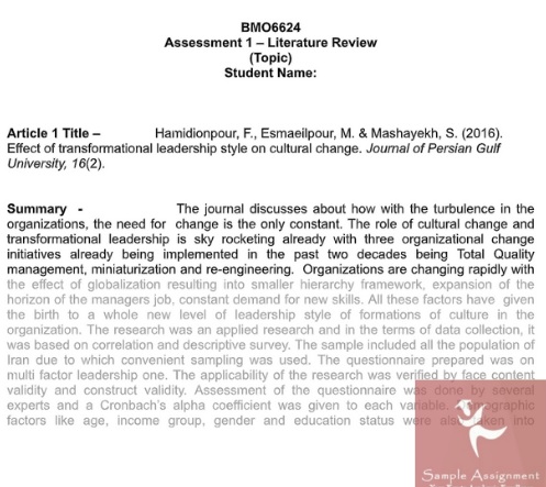 literature review assignment sample