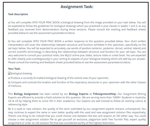 plasma membrane assignment canada