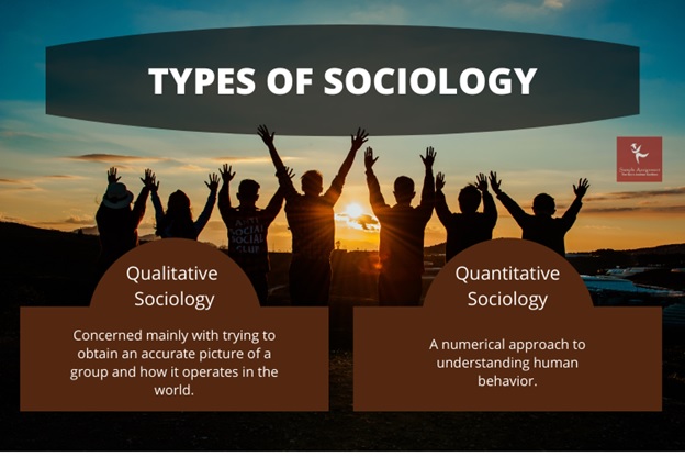 sociology homework help