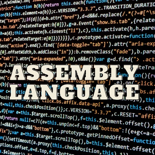 assembly language assignment help