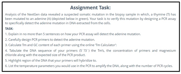 bioinformatics assignment question