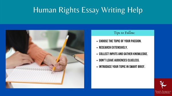 human rights essay writing help