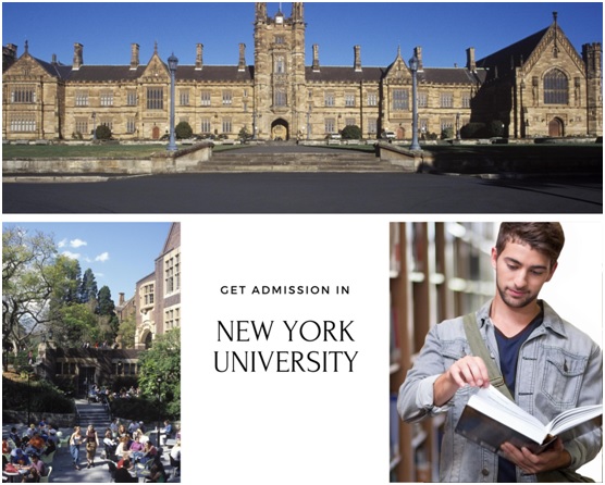 New York University