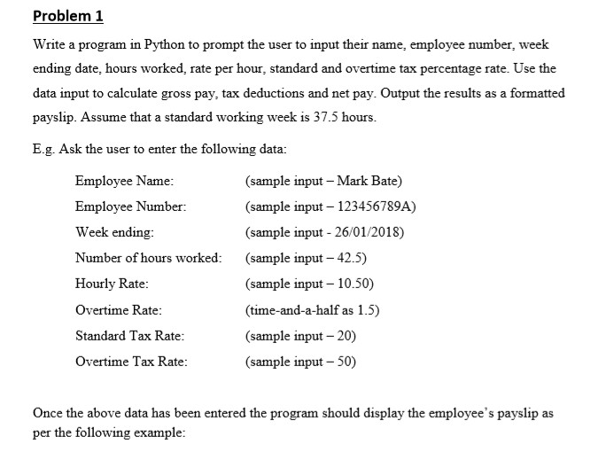 Python Assignment Help USA