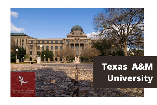 texas A&M university