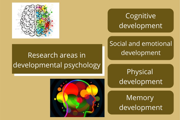 101682 developmental psychology assignment help