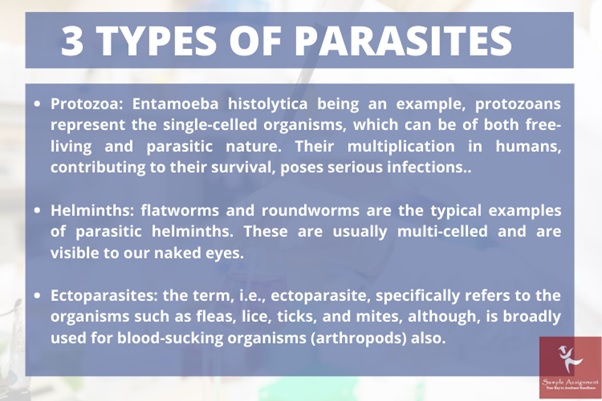 types of parasites