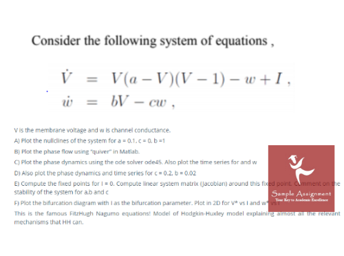 Computational Neuroscience Equation Sample