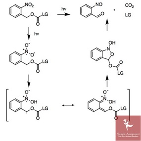 Online Organic Chemistry Assignment