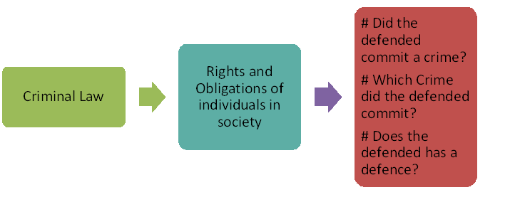 types of criminal law