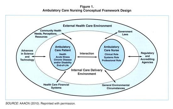 Professional Ambulatory Care Nursing Assignment Help Follow