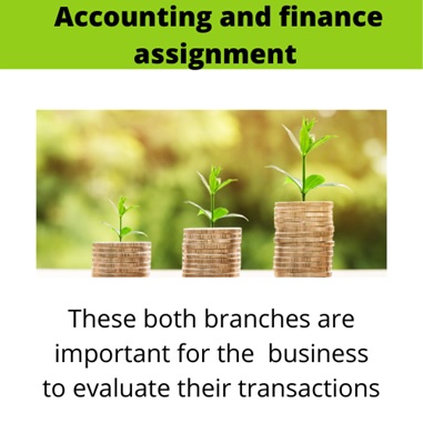 accounting and finance for business assignment