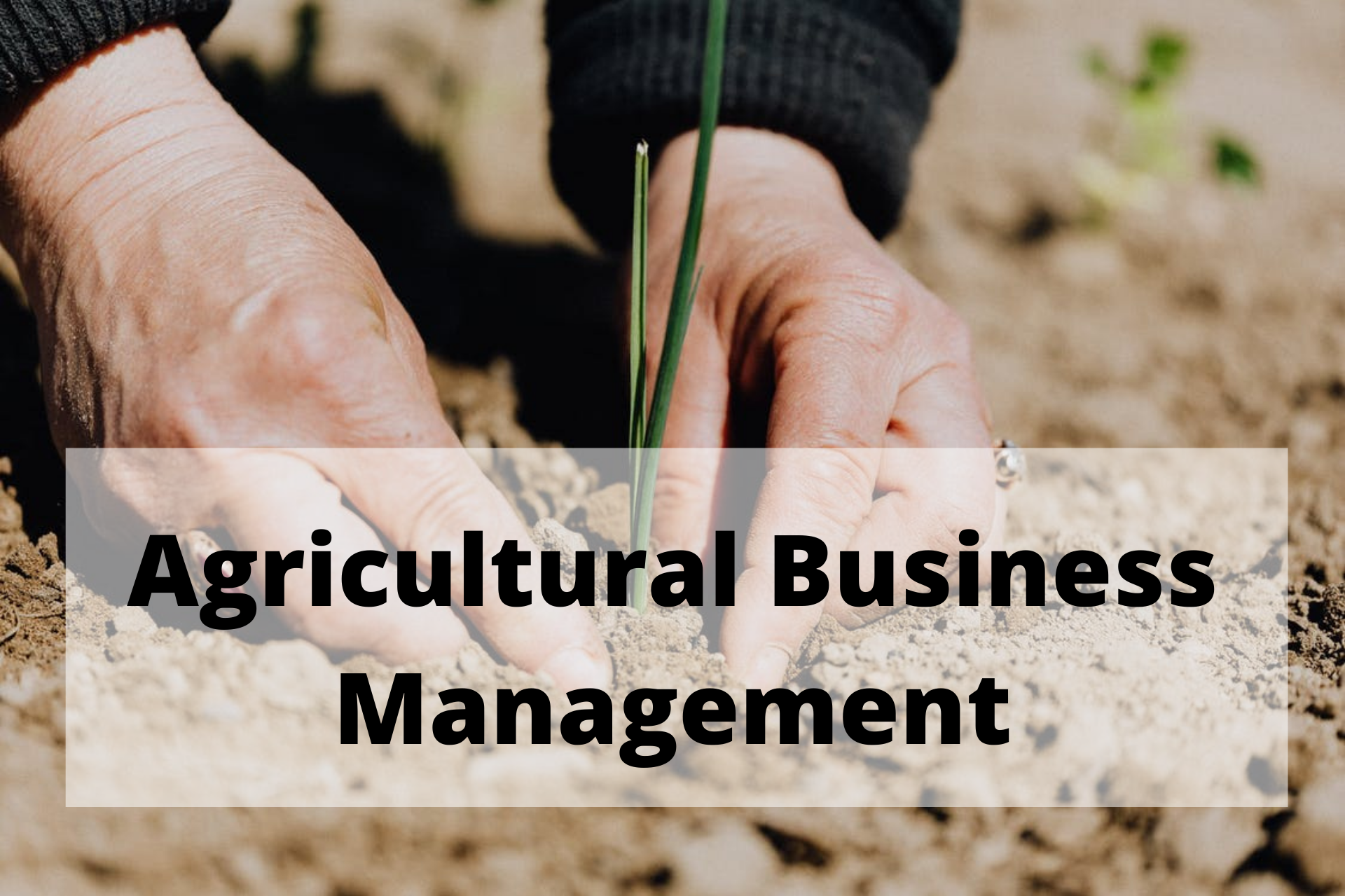 Agricultural Business Management Assignment Help