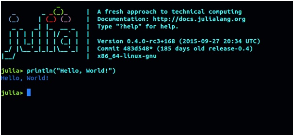 assignment for julia programming online