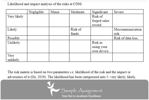 Assignment on Companies Securities Law Analysis Risk