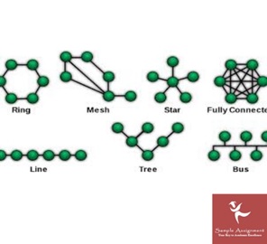 assignment on network topology