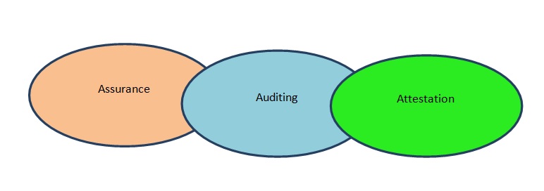 audit Assurance assignment service online