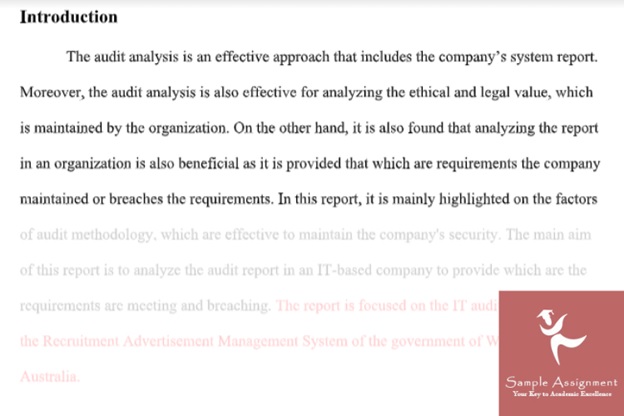 audit report assignment experts