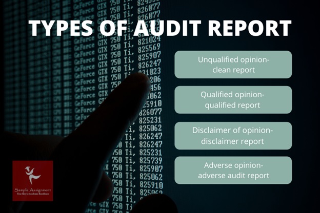 audit report assignment help