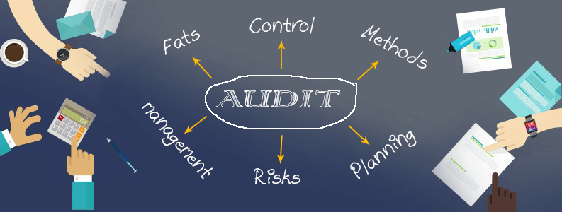 auditing assignment help australia