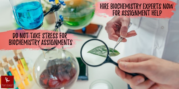 biochemistry assignment help