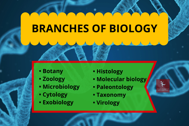 biologists assignment help