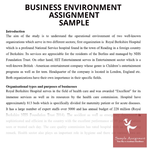 Business Environment Assignment Help