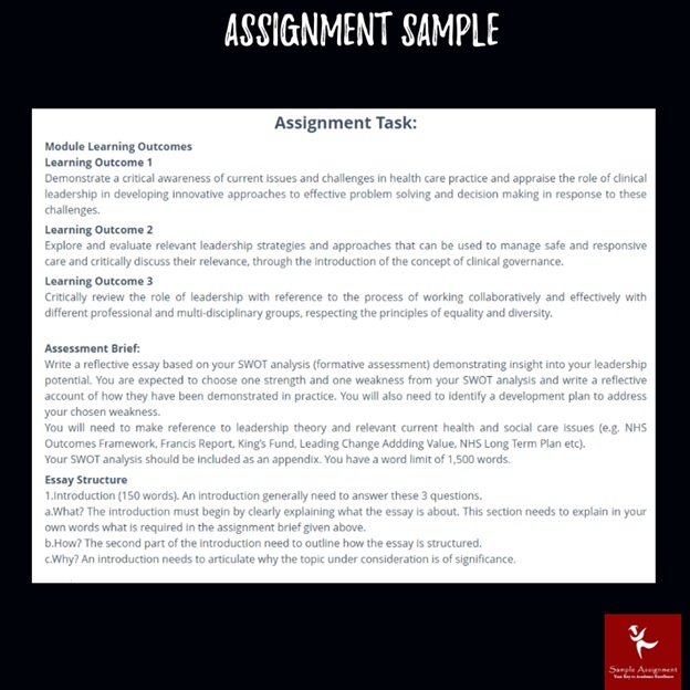 clinical leadership assignment sample