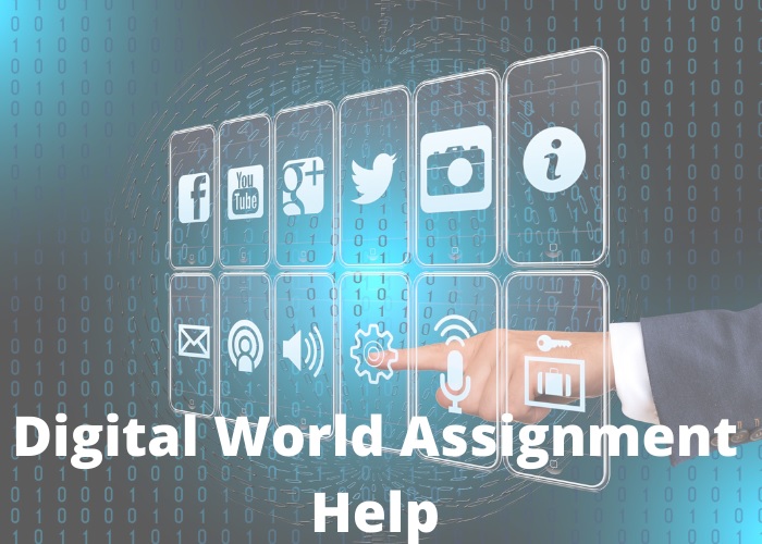 digital world assignment help