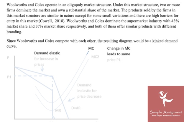 economics cost curves assignment sample