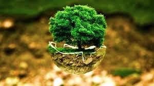 Environmental Politics Assignment Help 